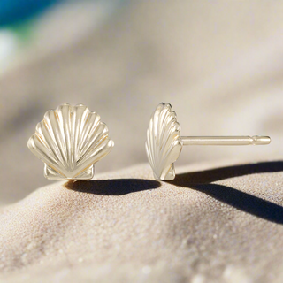 Seashell Studs