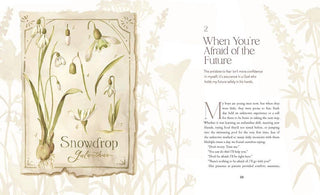 The Way of the Wildflower : Gospel Meditations to Unburden Y