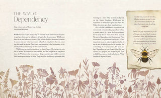 The Way of the Wildflower : Gospel Meditations to Unburden Y
