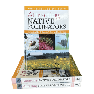 Attracting Native Pollinators