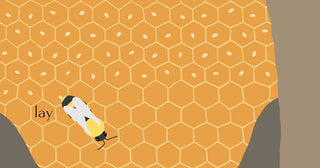 Beehive by Jorey Hurley